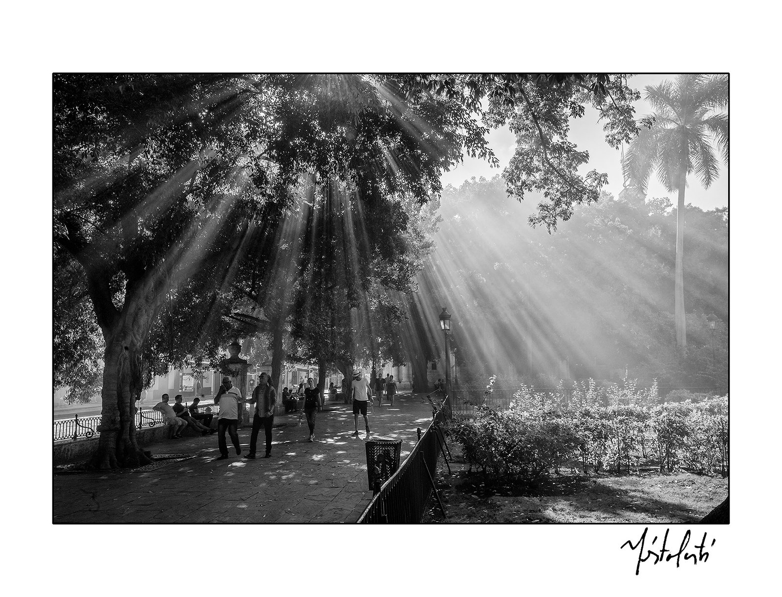 In the Plaza de Armas